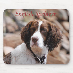 English Springer Mousepad Muismat