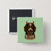 English Springer Spaniel looking devilish badges (Devant & derrière)