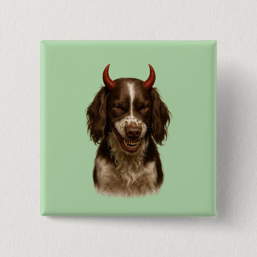 English Springer Spaniel looking devilish badges (Devant)