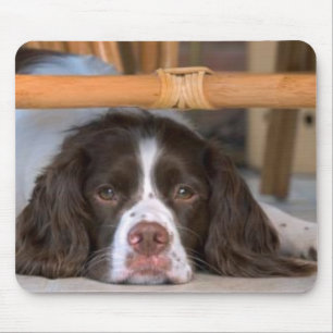 English Springer Spaniel Mousepad Muismat