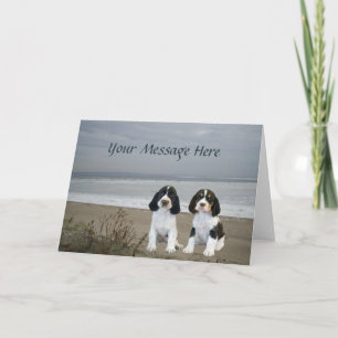 English Springer Spaniel Wenskaart Feestdagen Kaart