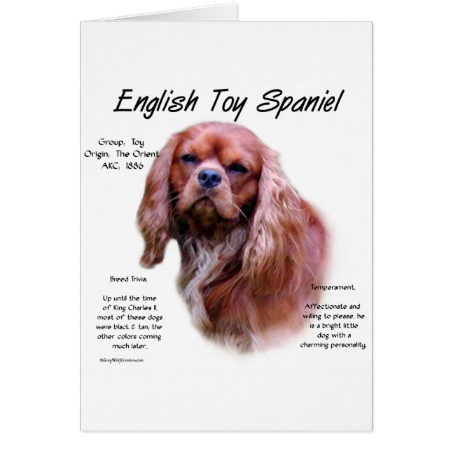 English Toy Spaniel (rubis) Histoire Design (Devant)