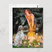 EnglishSetter 1 - MidEve Briefkaart (Voorkant / Achterkant)