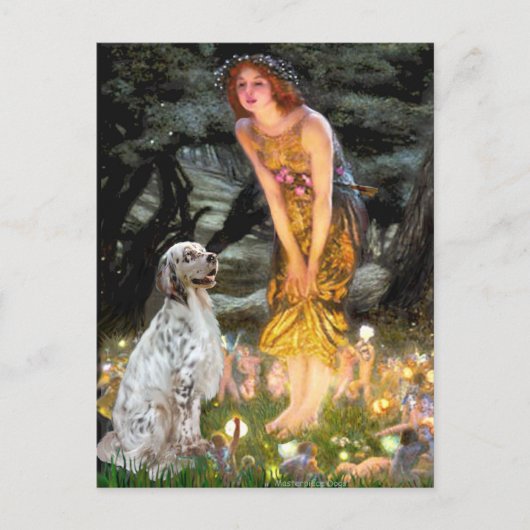 EnglishSetter 1 - MidEve Briefkaart (Voorkant)
