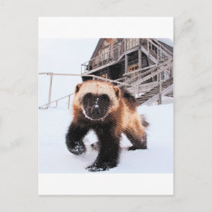 Engraved Wolverine Briefkaart
