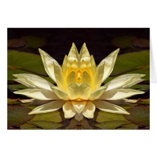 Enhanced Lotus1-kaart