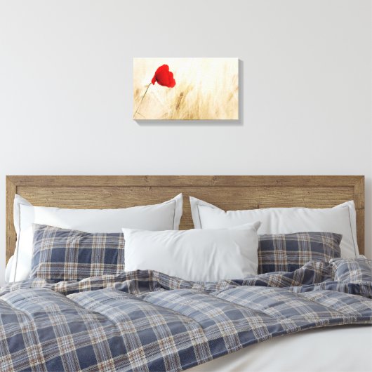 Enige Rode papaver in een grijs veld Canvas Afdruk (Insitu (Slaapkamer))