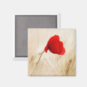 Enige Rode papaver in een grijs veld Magneet (Voorkant / Achterkant)