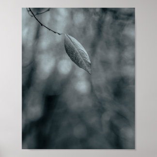 Enkel blad aan een dunne tak in koele monochroom poster