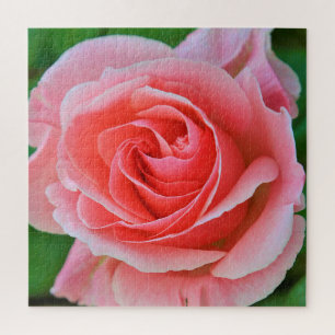 Enkel grote roze roze roze dicht legpuzzel