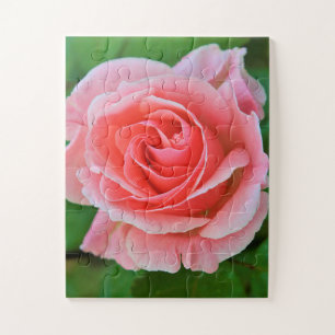 Enkel grote roze roze roze dicht legpuzzel