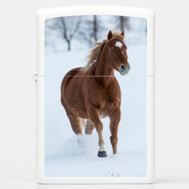 Enkel paard dat in de sneeuw loopt (Voorkant)