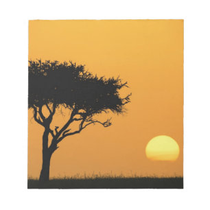 Enkele acaciaboom in silhouet bij zonsopgang, Masa Notitieblok