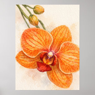 Enkele Bloem Mot Orchidee Botanisch Poster