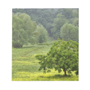 Enkele boom in landbouwveld, Toscane, 2 Notitieblok