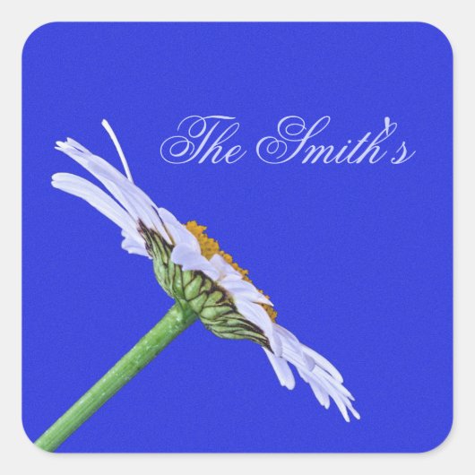 Enkele Daisy Flower op Canvas Custom Vierkante Sticker (Voorkant)