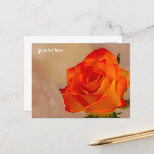 Enkele oranje roos ansichtkaart briefkaart