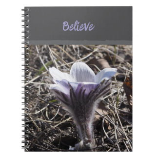 Enkele Paarse Prairie Crocus Spiraal Foto Notitieb Notitieboek