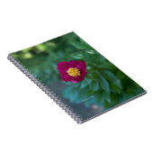 Enkele pioen notitieboek (Rechterzijde)