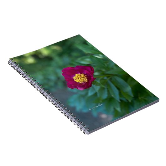 Enkele pioen notitieboek (Rechterzijde)