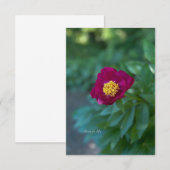 Enkele pioen notitiekaartje (Voorkant / Achterkant)