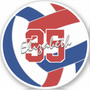 Enkele rode blauwe volleybal sticker of kopen in b