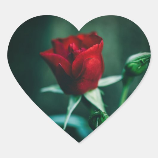 enkele rode hart sticker (Voorkant)