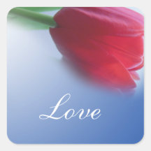 Enkele rode tulpenbloem