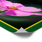 Enkele Roze Kosmos Bloem Abstract Poster (Hoek)