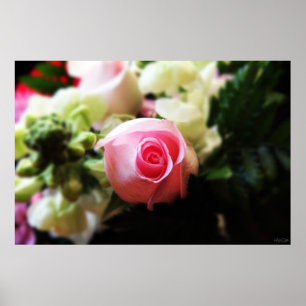 enkele roze roos fotografie afdruk poster
