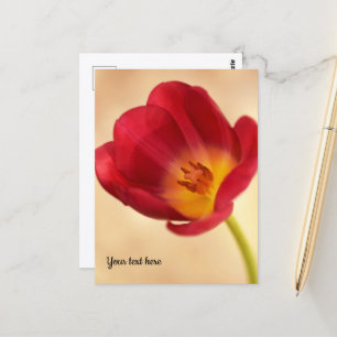 Enkele Roze Tulp Briefkaart