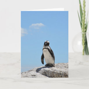 Enkele schattige pinguïn en blauwe lucht kaart