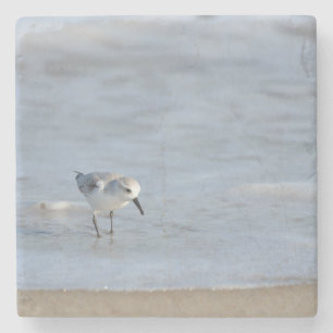 Enkele strandloper loopt op het strand stenen onderzetter