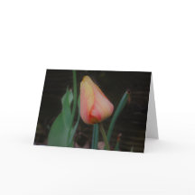 Enkele Tulp Notitiekaart