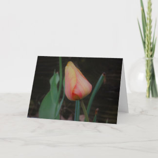 Enkele Tulp Notitiekaart