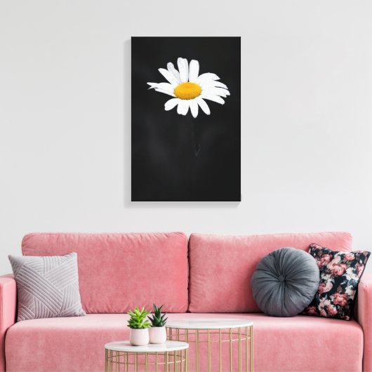 Enkele witte en gele Daisy Flower op zwart Canvas Afdruk (Insitu (Woonkamer))