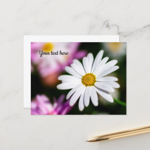 Enkele Witte Madelief Ansichtkaart Briefkaart