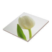 Enkele witte tulp tegeltje (Zijkant)