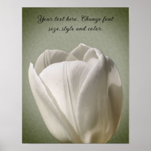 Enkele witte tulpenbloem Creëer uw eigen tekst Poster