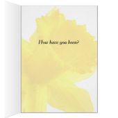 Enkelgele Narcissus Daffodil (Binnen (Rechts))