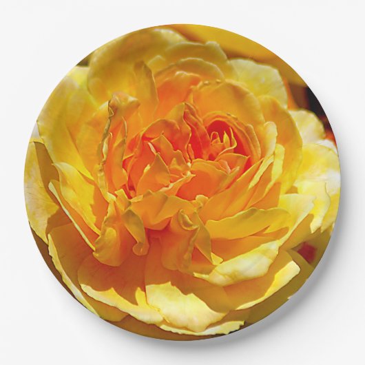 Enkelgele roos papieren bordje (Voorkant)