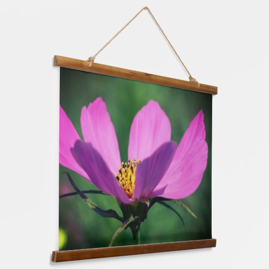 Enkelroze kosmos stroomt in bloom hangend wandkleed (Gebogen)