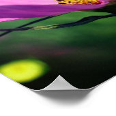 Enkelroze kosmos stroomt in bloom poster (Hoek)