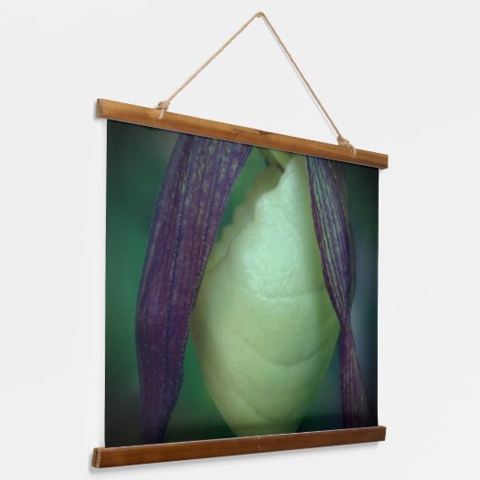 Enkelvoudig wit draagster, orchidee, dicht bij hangend wandkleed (Gebogen)