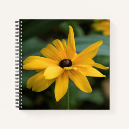 Enkelvoudige gele rudbeckia bloem notitieboek