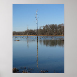 Enkelvoudige reflectie poster