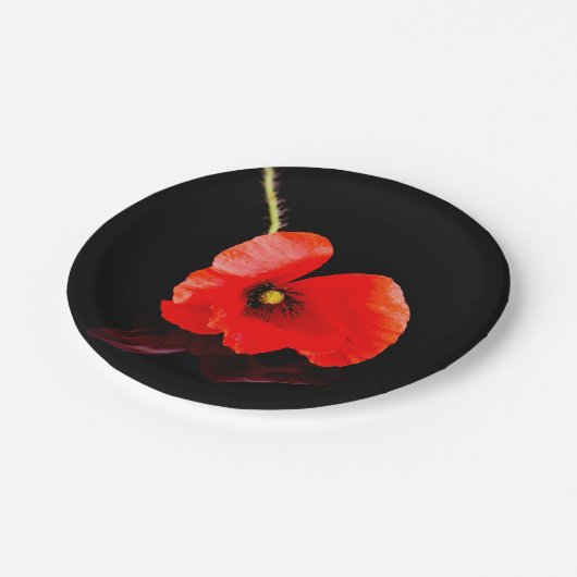 Enkelvoudige rode papaver op zwart papieren bordje (Gekanteld)