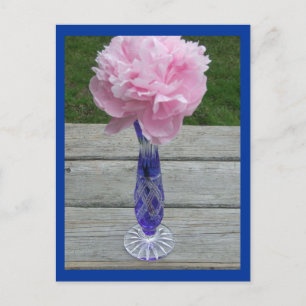 Enkelvoudige roze peiny in Blue Caesar Crystal Vas Briefkaart
