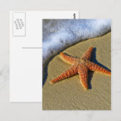 Enkelvoudige Starfish op strand Briefkaart (Voorkant / Achterkant)