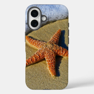 Enkelvoudige Starfish op strand iPhone 16 Hoesje